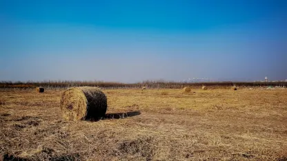 Casino Adrenaline Mobilna aplikacija